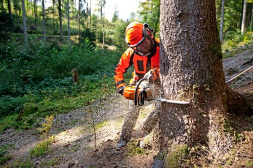 MS 362 Pilarka spalinowa STIHL - obrazek 3